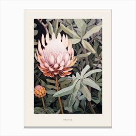 Flower Illustration Protea 1 Poster Canvas Print
