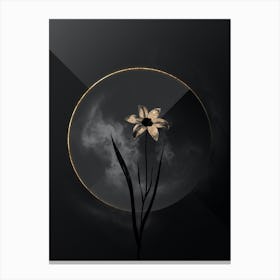 Shadowy Vintage Lady Tulip Botanical in Black and Gold n.0117 Canvas Print