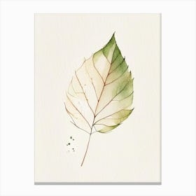Hickory Leaf Minimalist Watercolour Canvas Print