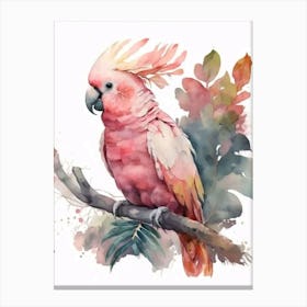 Cockatoo Painting Canvas Print