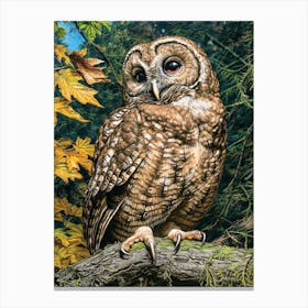 Spotted Owl Relief Illustration 4 Canvas Print