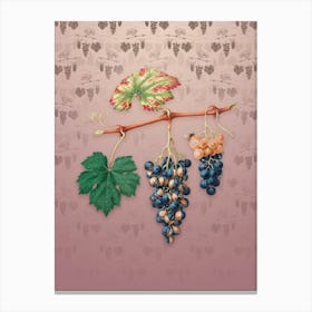 Vintage Summer Grape Botanical on Dusty Pink Pattern n.2037 Canvas Print