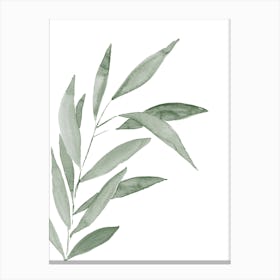 Watercolor Bamboo Leaf in Sage Green Canvas Print
