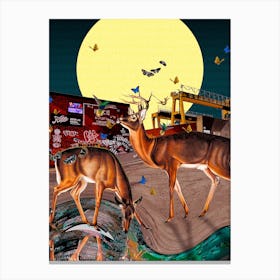 Deer On Brinkburn Street Canvas Print