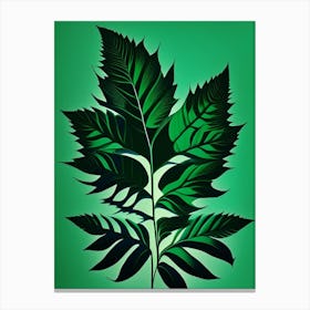 Pennyroyal Leaf Vibrant Inspired 2 Canvas Print