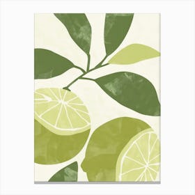 Limes Close Up Illustration 6 Canvas Print