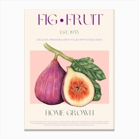 Fig Fruit Mid Century Canvas Print