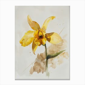 Yellow Daffodil Canvas Print