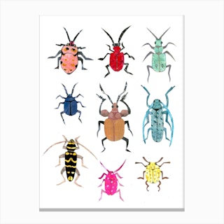 Bussy Beetles Colourful Canvas Print