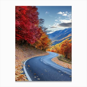 Beautiful Road In Autumn 2 Canvas Print