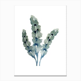 Kelp Watercolor Canvas Print