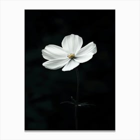 White Flower 17 Canvas Print