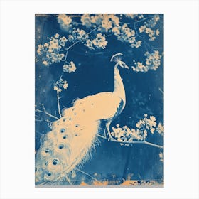 White Orange Blue Cyanotype Inspired Peacock 3 Canvas Print