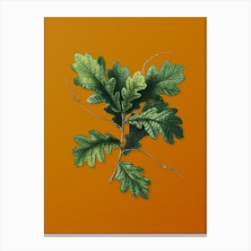 Vintage English Oak Botanical on Sunset Orange n.0755 Canvas Print