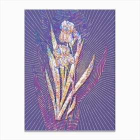 Geometric German Iris Mosaic Botanical Art on Veri Peri n.0147 Canvas Print