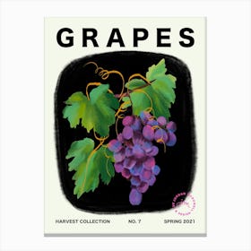 Grapes Fruit Kitchen Typography Canvas Print