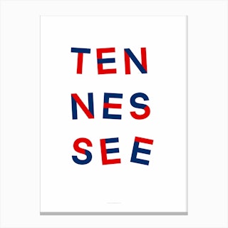 Tennessee State Flag Colours Canvas Print
