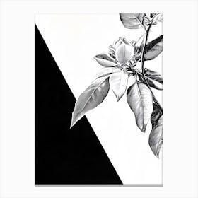 Black And White Drawing Of A Flower Canvas Print