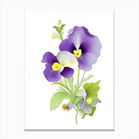 Pansy Floral Quentin Blake Inspired Illustration 4 Flower Canvas Print