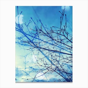 Blue sky trees Canvas Print