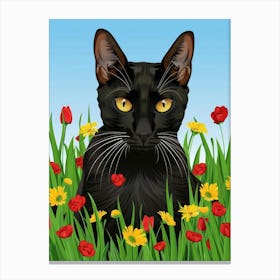 Black Cat In The Grass Canvas Print