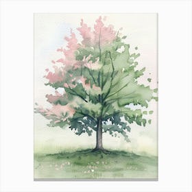 Maple Tree Atmospheric Watercolour Painting 1 Canvas Print