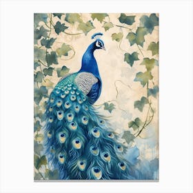 Watercolour Peacock With The Ivy Canvas Print