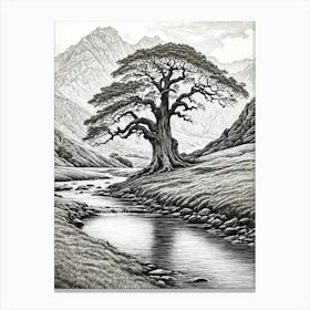 highly detailed pencil sketch of oak tree next to stream, mountain background 2 Canvas Print