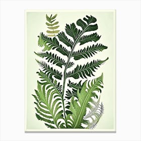 Polypodium Fern Vintage Botanical Poster Canvas Print