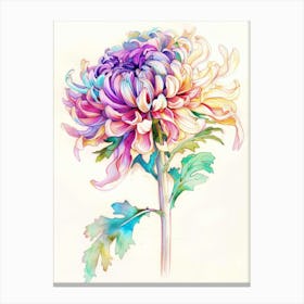 Chrysanthemum 7 Canvas Print