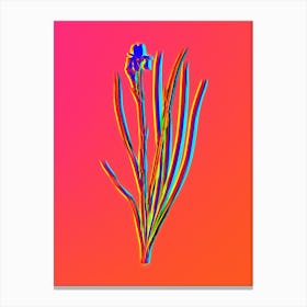 Neon Siberian Iris Botanical in Hot Pink and Electric Blue n.0549 Canvas Print