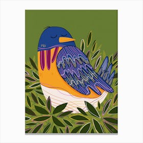 Eastern Bluebird Canvas Print