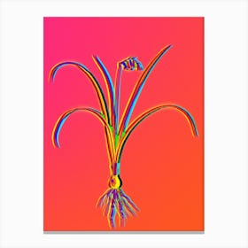 Neon Brimeura Botanical in Hot Pink and Electric Blue n.0453 Canvas Print
