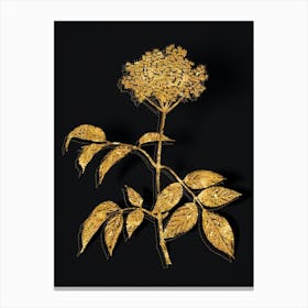Vintage Elderflower Tree Botanical in Gold on Black n.0106 Canvas Print