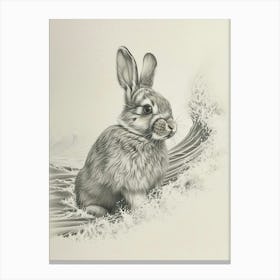 French Lop Rabbit Drawing 3 Canvas Print