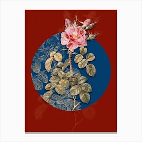 Vintage Botanical Four Seasons Rose in Bloom on Circle Blue on Red n.0223 Canvas Print