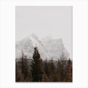 Rustic Forest Canvas Print