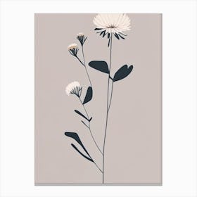 Asters Wildflower Simplicity Canvas Print