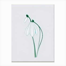 Snowdrop Floral Minimal Line Drawing 2 Flower Canvas Print