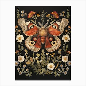 Peacock Moth Canvas Print