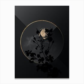 Shadowy Vintage Celery Leaved Cabbage Rose Botanical on Black with Gold Canvas Print