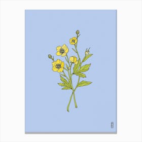 Buttercup Yellow & Blue Canvas Print