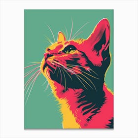 Pop Cat 3 Canvas Print