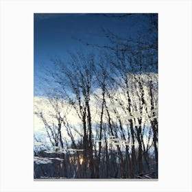 Tree Line Reflections 17 Landscape  Art Print Canvas Print