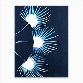 Blue fan palm cyanotype Canvas Print