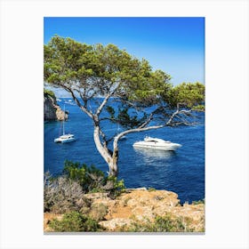 Portals vells Mallorca Canvas Print