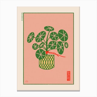 The Lucky Penny Plant Canvas Print