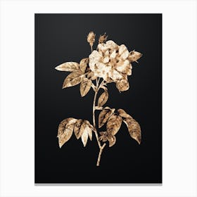 Gold Botanical French Rosebush with Variegated Flowers on Wrought Iron Black n.0517 Canvas Print