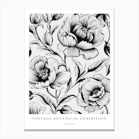 Anemone 2 B&W Vintage Botanical Poster Canvas Print