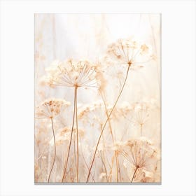 Boho Dried Flowers Queen Annes Lace 11 Canvas Print